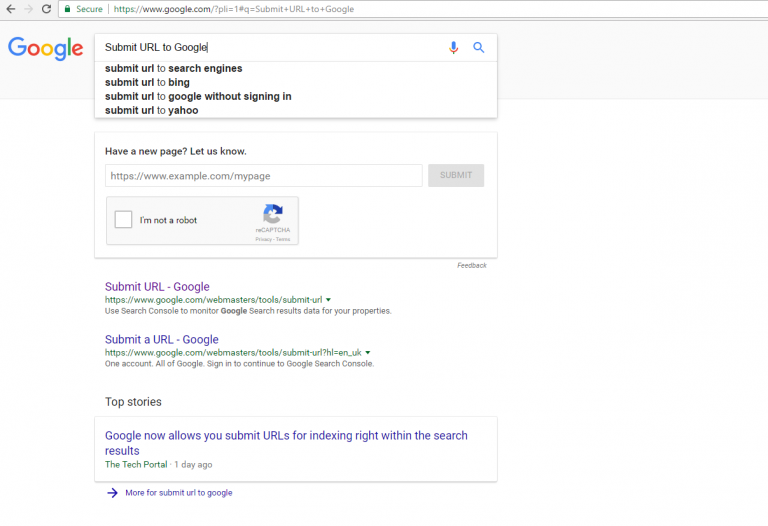 Google submit url in page