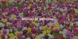 Billions of websites